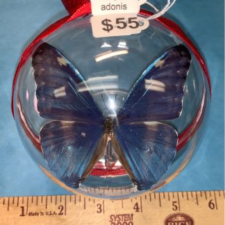 WhatSign Butterfly Christmas Ornament 2023 Monarch Butterfly