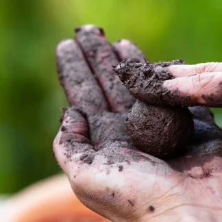 DIY Seed Bomb Workshop